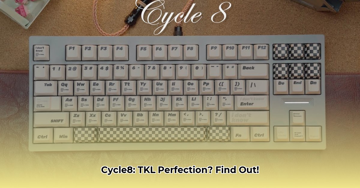 cycle-8